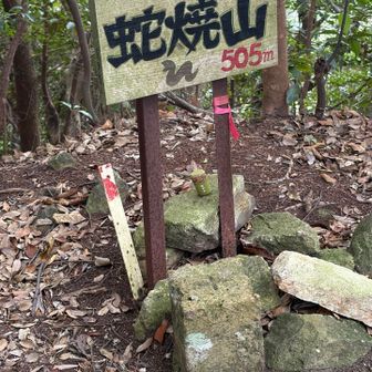 蛇焼山