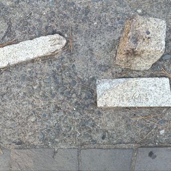 先ずは箱根山
標高45mに登頂