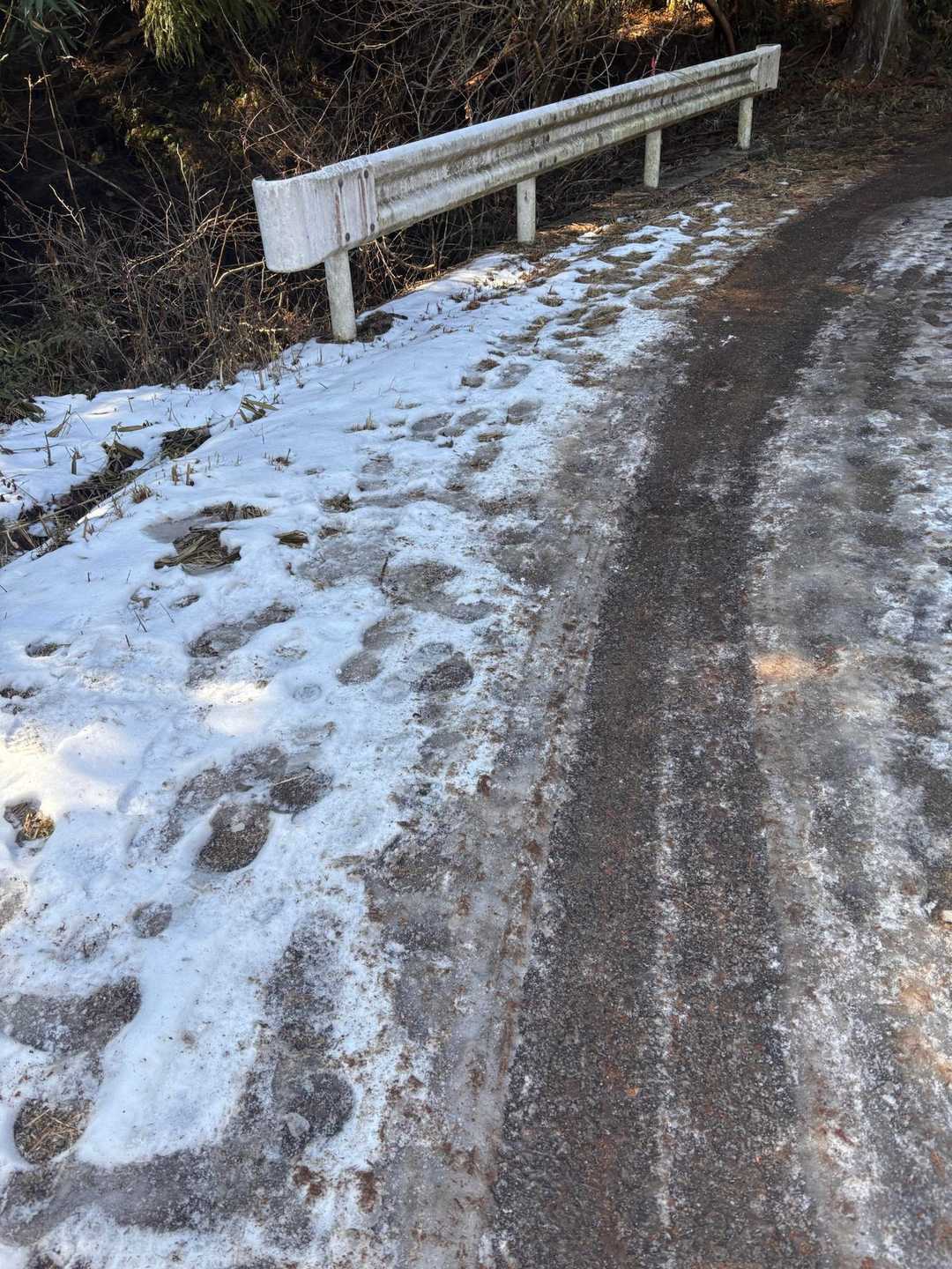 凍結してる箇所あり❄️