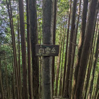 でも安心して下さい
ネームプレートはあります👉🩲👈
