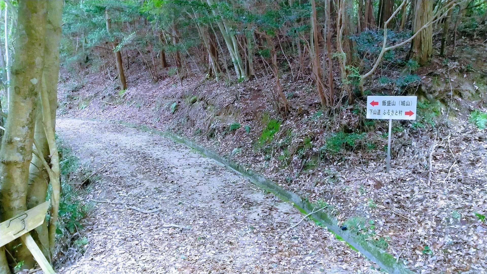 飯盛山？🙄行ってみよう😆