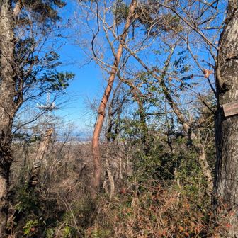 ボンテン山山頂・・直後イノ🐗とバッタリ😱