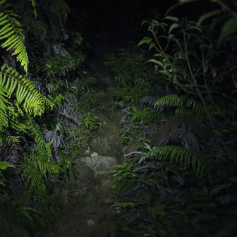 ヘッドライトで登ります