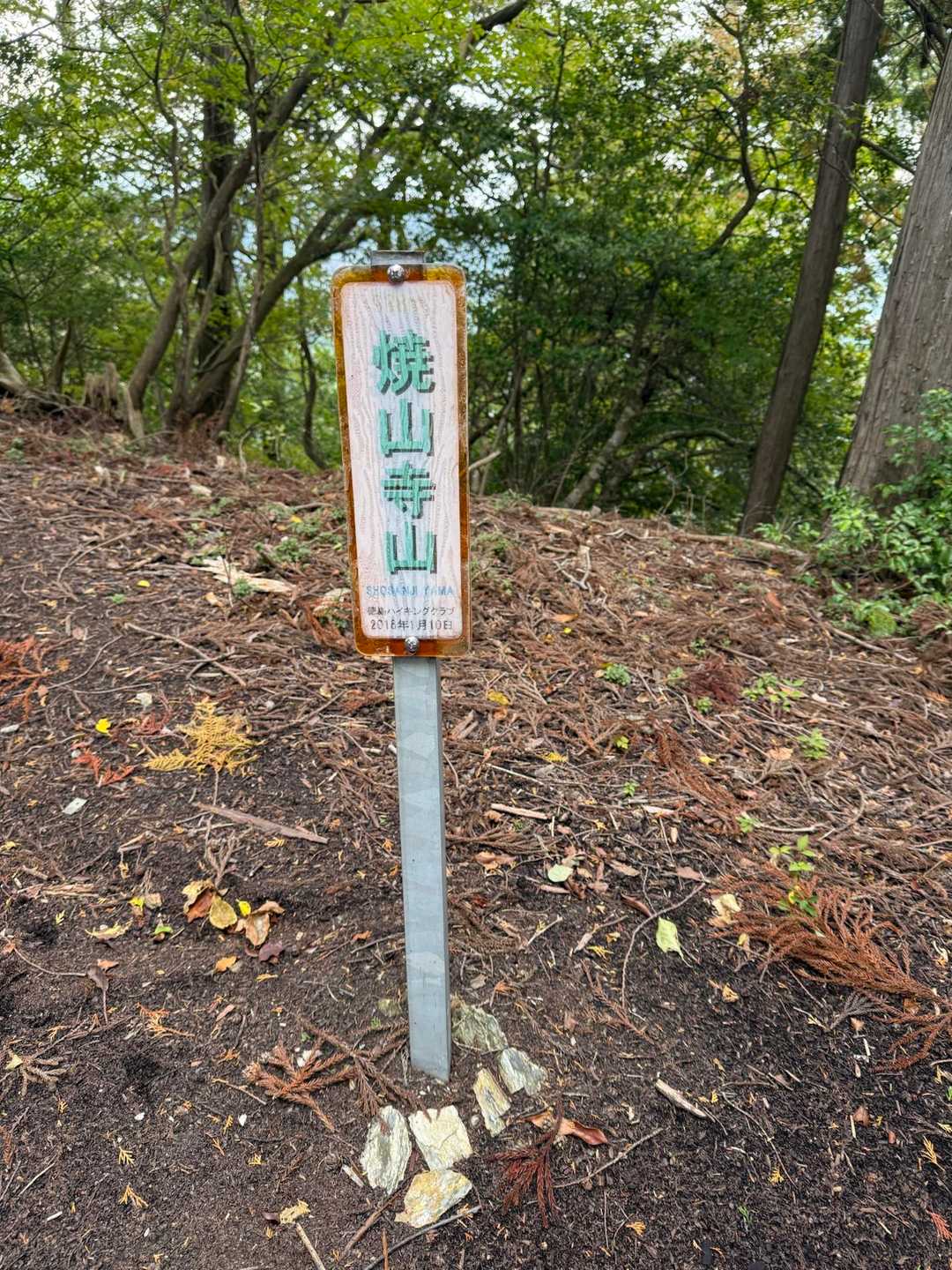 焼山寺山の頂上