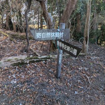 稜線を登り切って、いよいよ松田山かしら？という辺り。