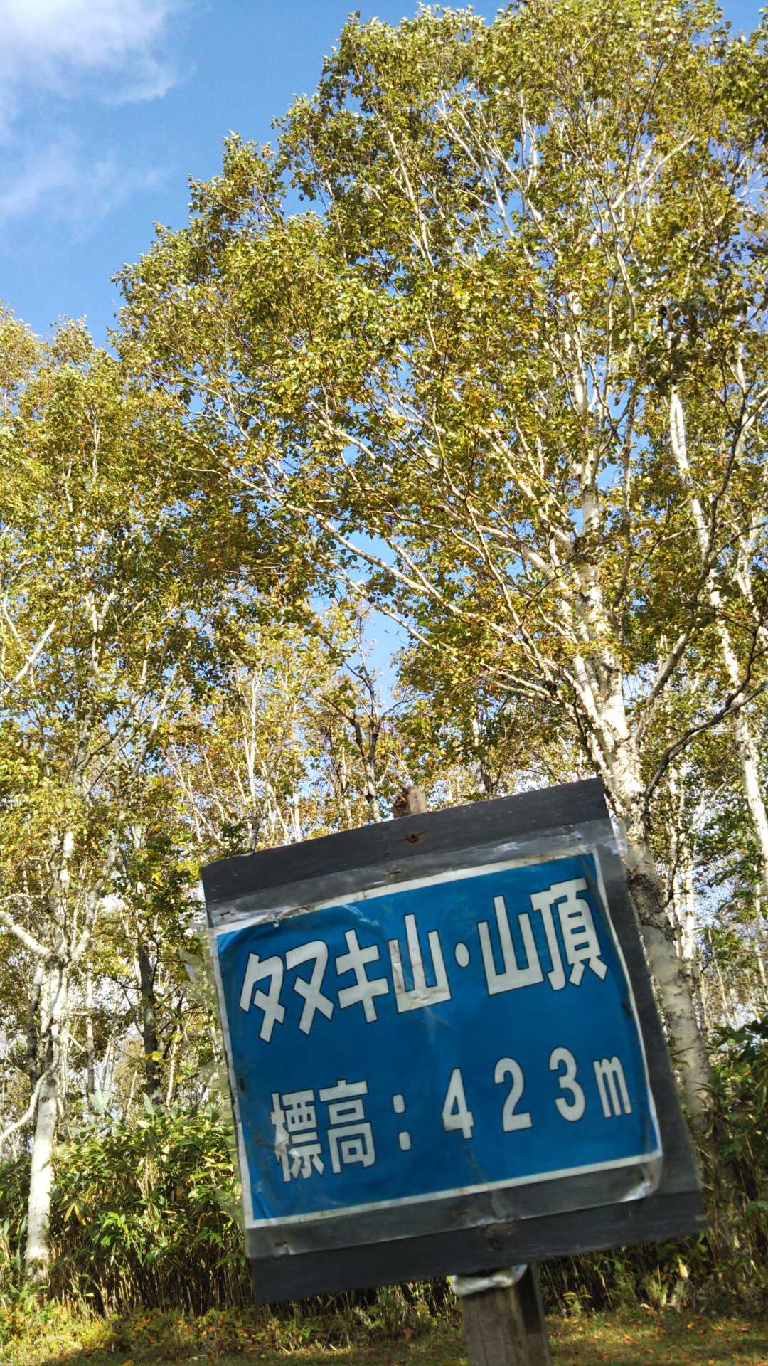 あっという間に山頂