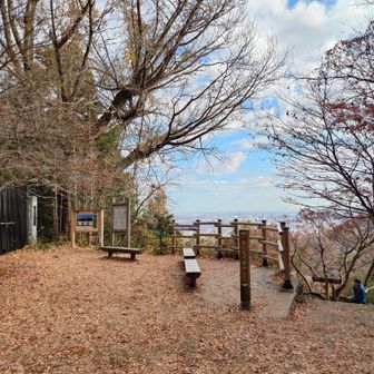 金毘羅台の銀杏もすっかり葉が落ちてます。