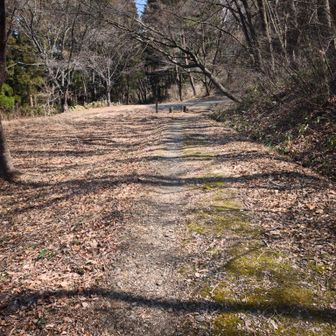 なんかまったり歩けました