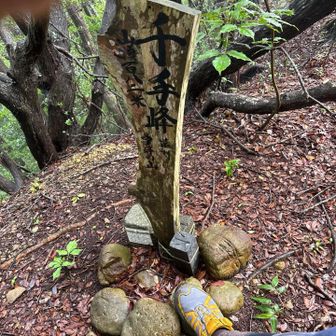 山頂です。