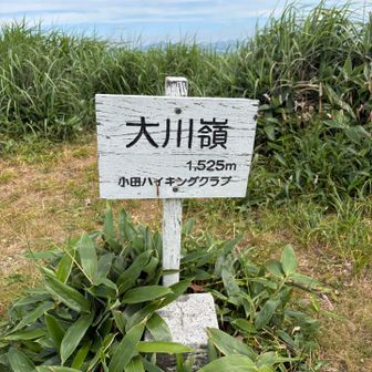 大川嶺山頂