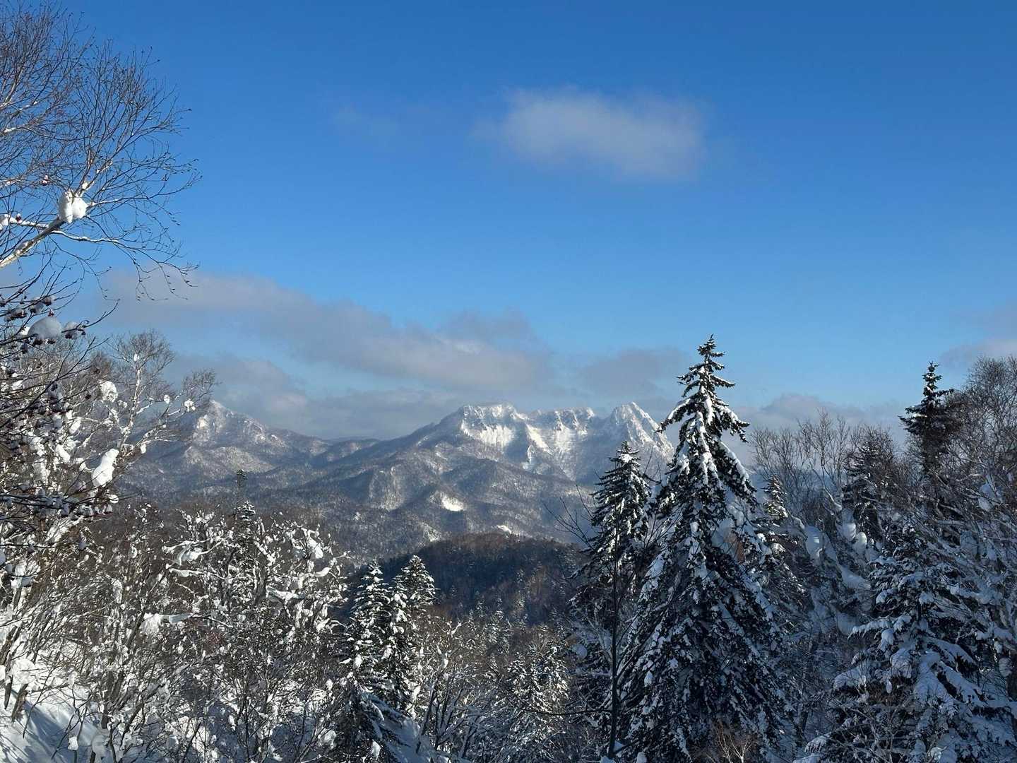 元山登山口-千尺高地 往復コースの写真