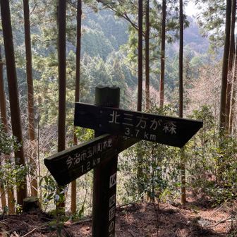 四国の道に出てきました。
北三方ケ森に行くのは右、
ここを左に進みます