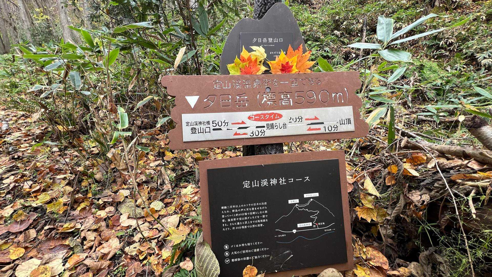 案内板に落葉🍁が飾られていました。