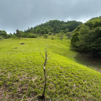丸川峠手前、
視界が開けて良い気分