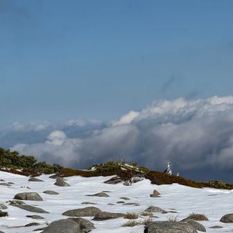 あーー！！いた！