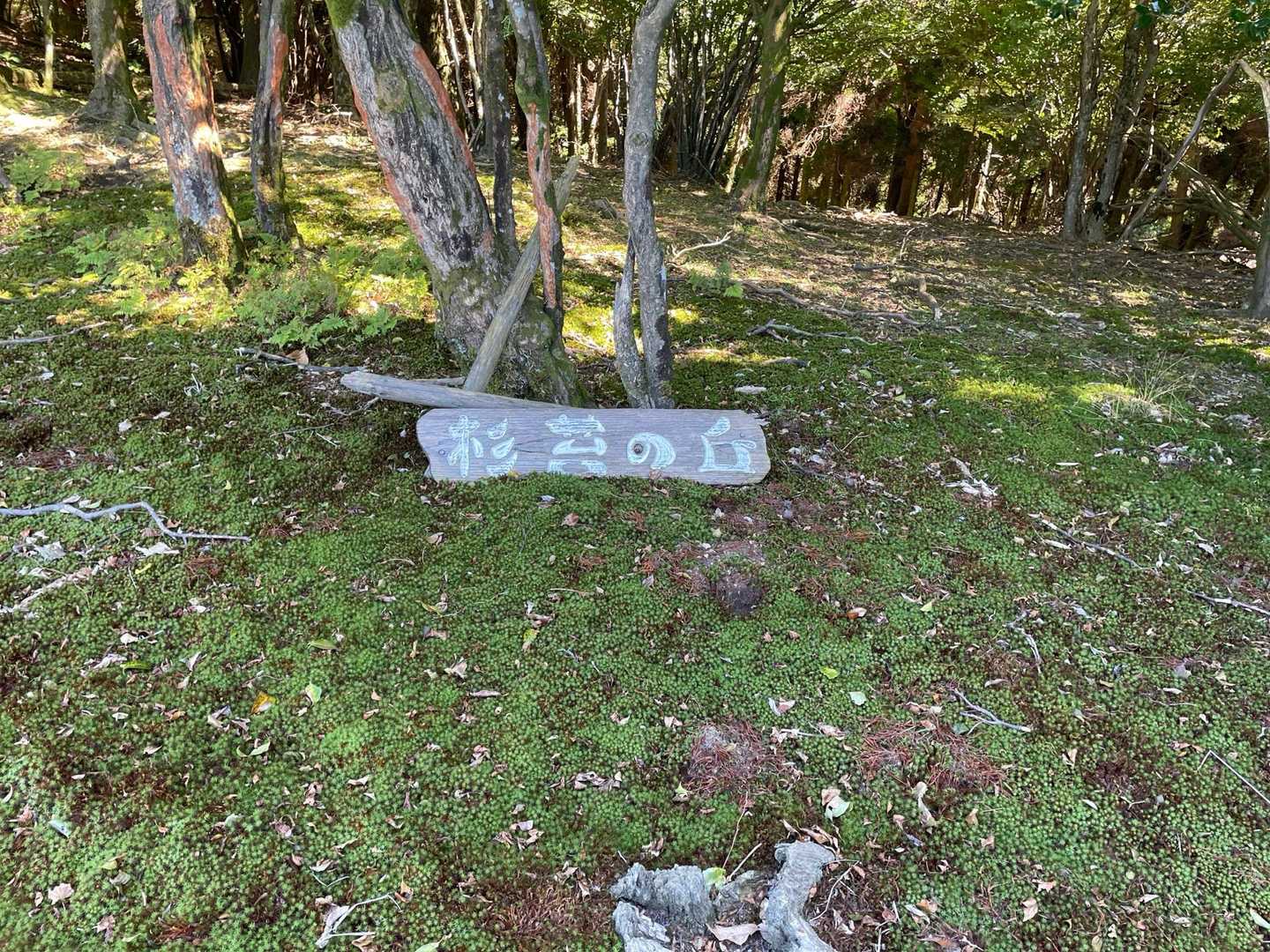 馬見山 往復コースの写真