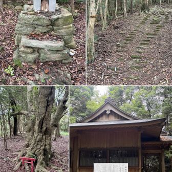 小祠や御神木、石段整備…明現神社⛩️通過