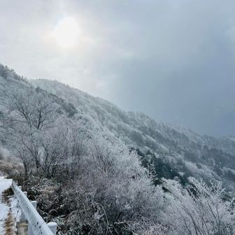 お日様が出てきてくれて雲が無くなったらそれはそれで素敵な景色になるよね