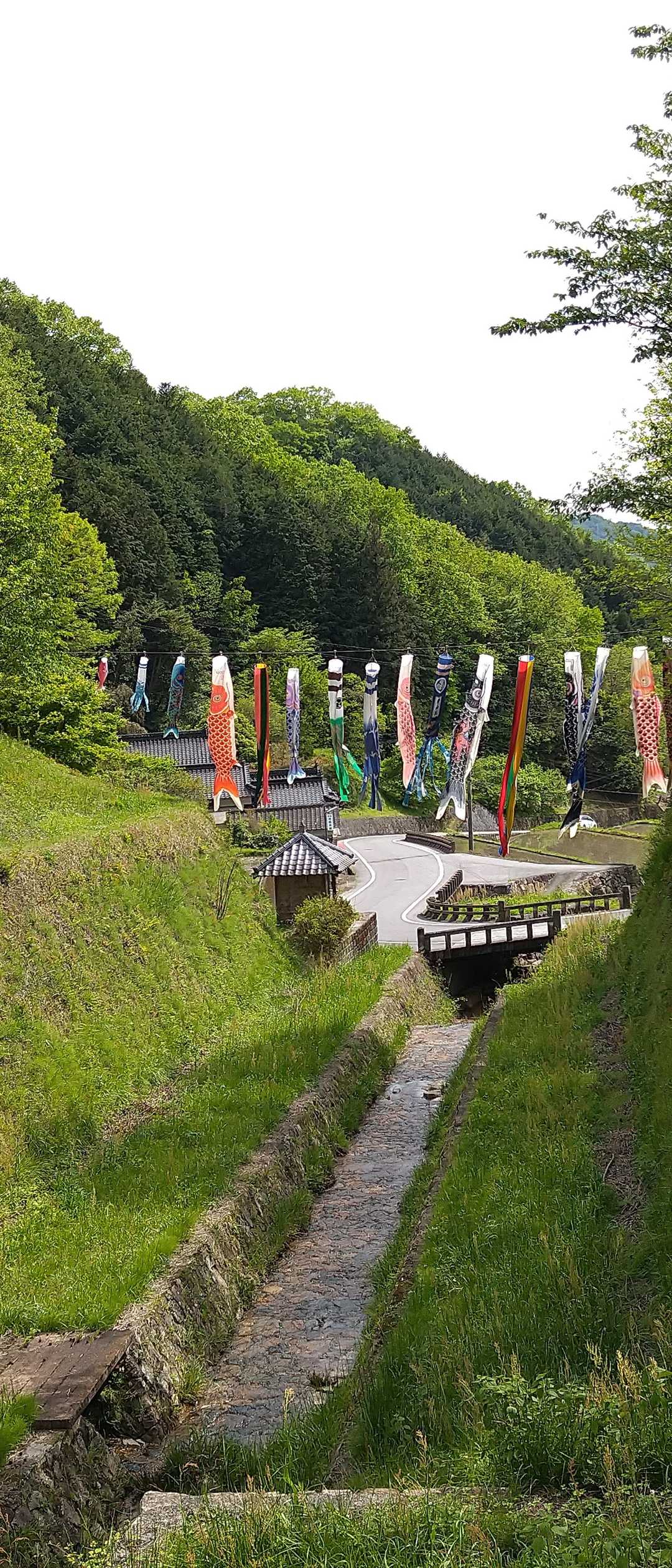 臥牛山-大松山つり橋 往復コースの写真