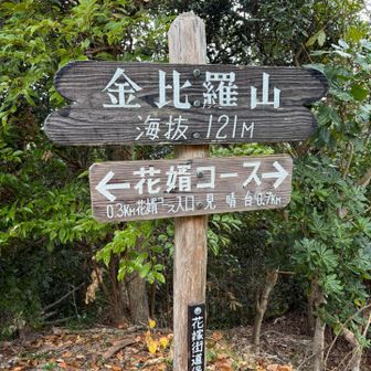 金比羅山山頂到着、眺望なし