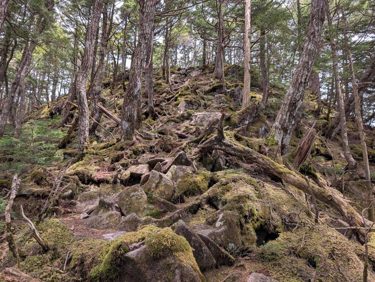 ここを登り上がれば笠盛山😅💦
