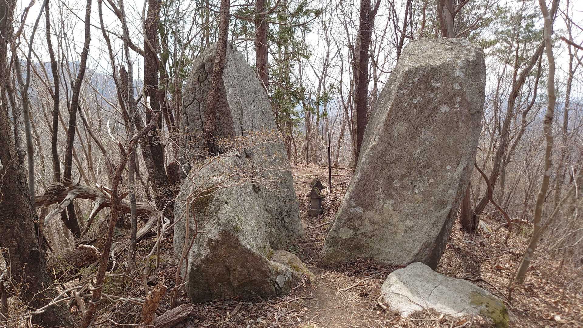 霹靂一閃⚡見事だな😲