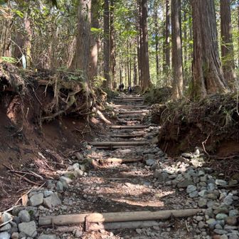 安心する金時山の登山道！