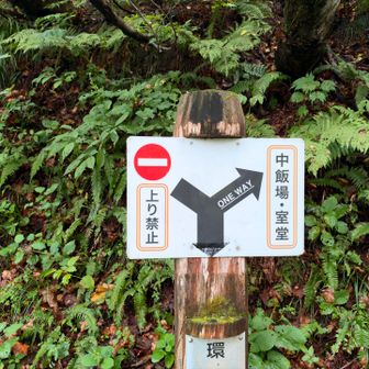 🏞️https://aito.photo/?P=8CWKINWV