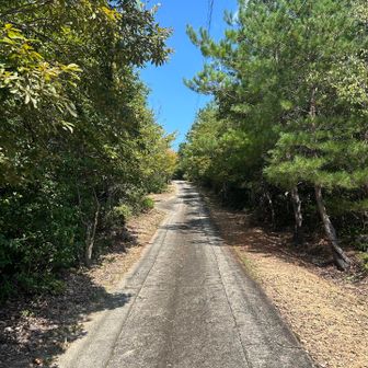 山と言っても舗装路で公園の散歩だわ。😊
でも結構きつい登り坂で、降る時に登山靴の性能が試せそうです。🥾