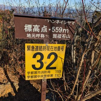 班根石山559m山頂
大好きな場所🥰