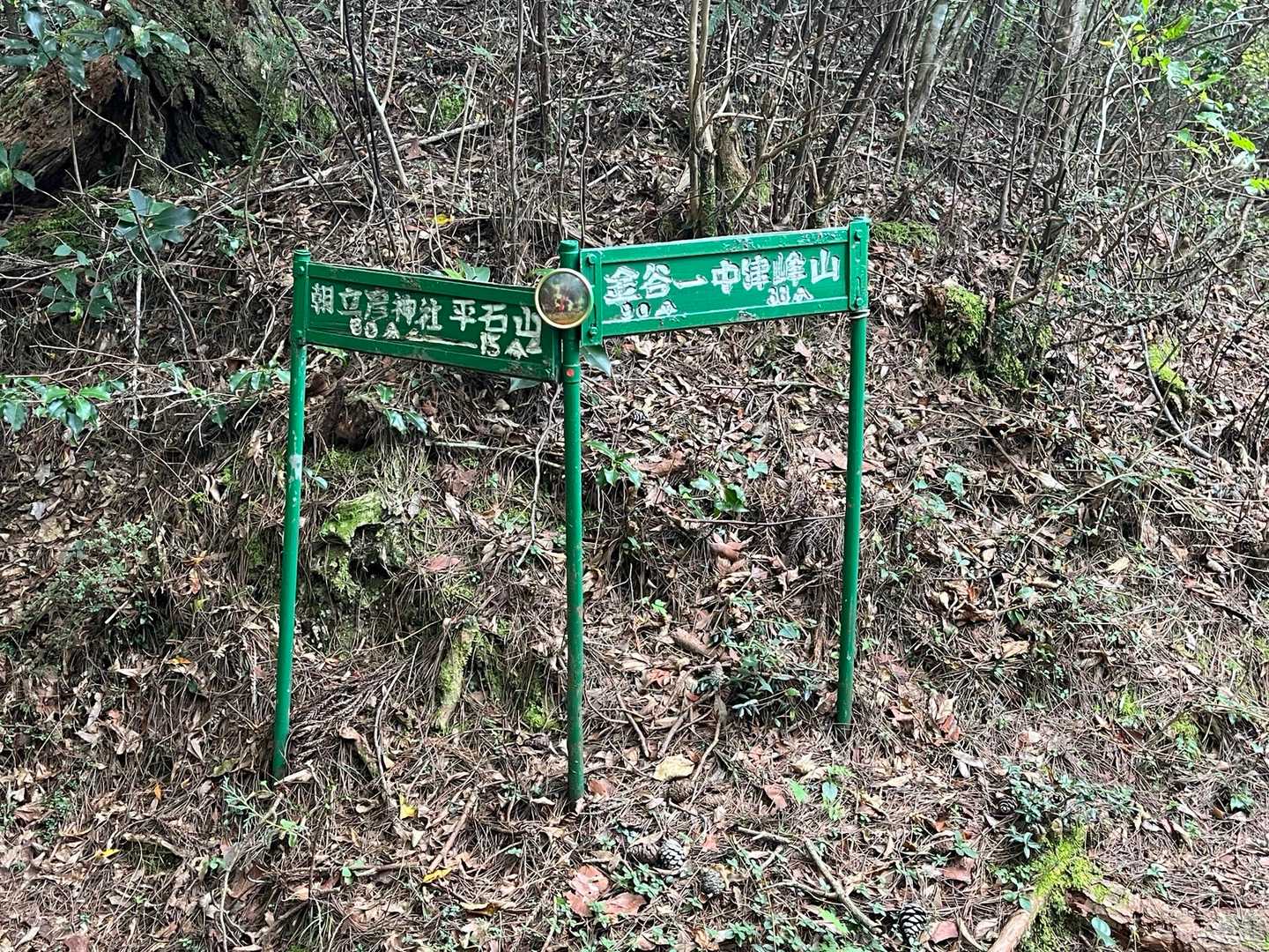 ここにも緑色の案内板。右へ