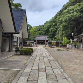 四條畷神社でお参りをしたので、きっと良いことが願う筈です