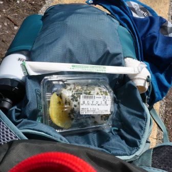 少し早いけどお昼にしましょう🌸
アルコールは我慢😣