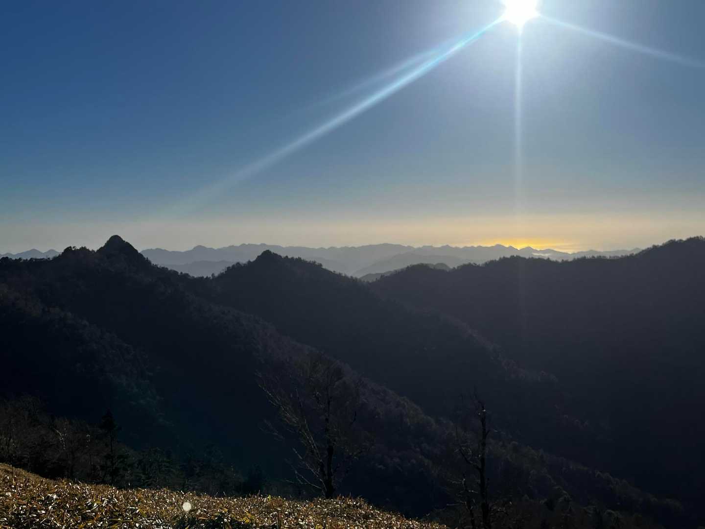 今日も素敵な1日になりそう

太尾登山口から釈迦ヶ岳は、あっという間に着きます