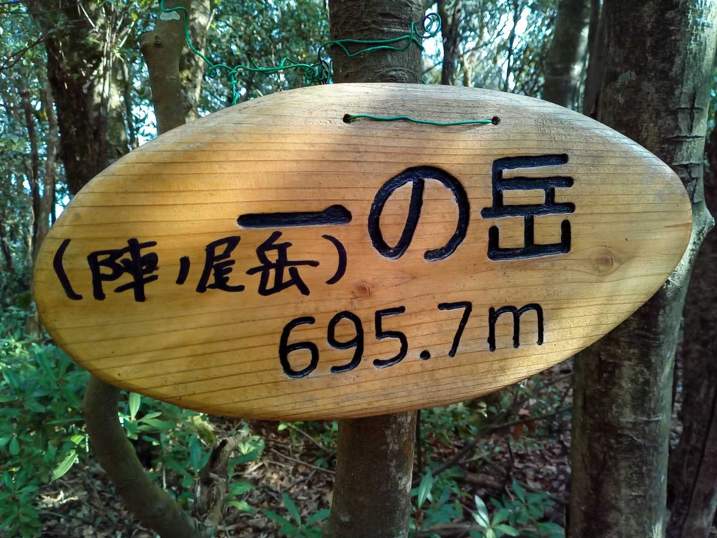 陣ノ尾岳が正式らしい