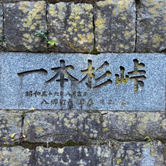 ココも車でよく通ったところ🐸
