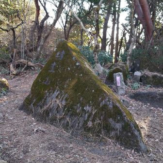 ミカン園を下り、薬王院コースで男体山に登って、坊主山まで来ました。
歩いたことのない道を下り一般コースに合流し、後は出発点まで下ります。