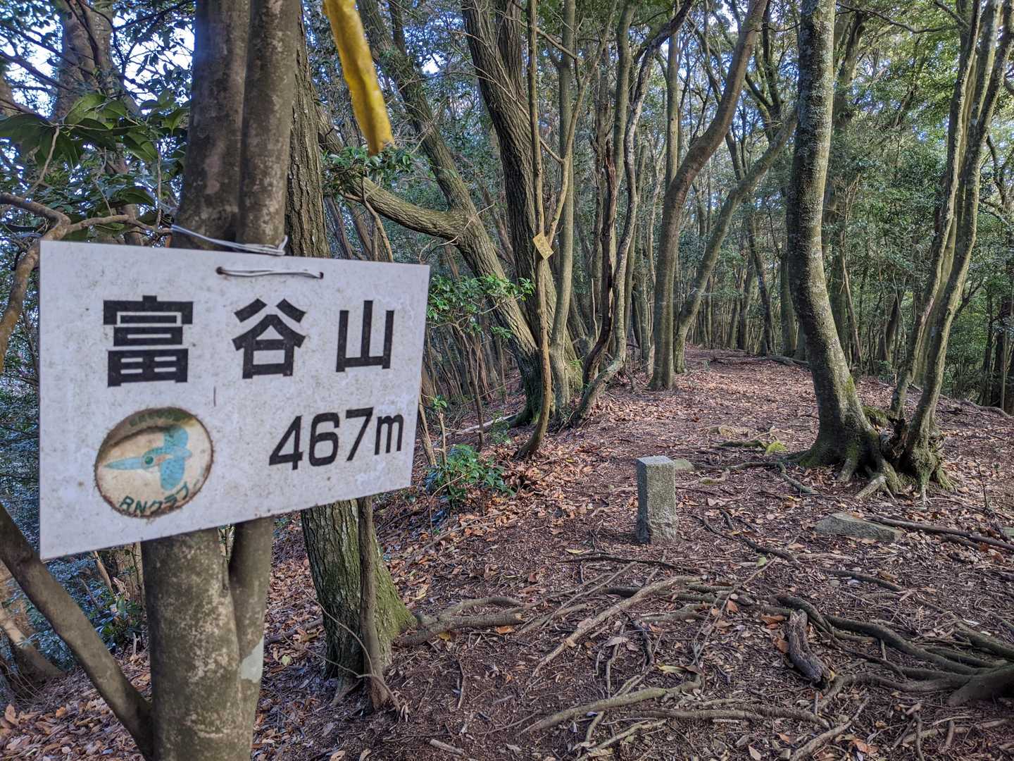 富谷山山頂です❗