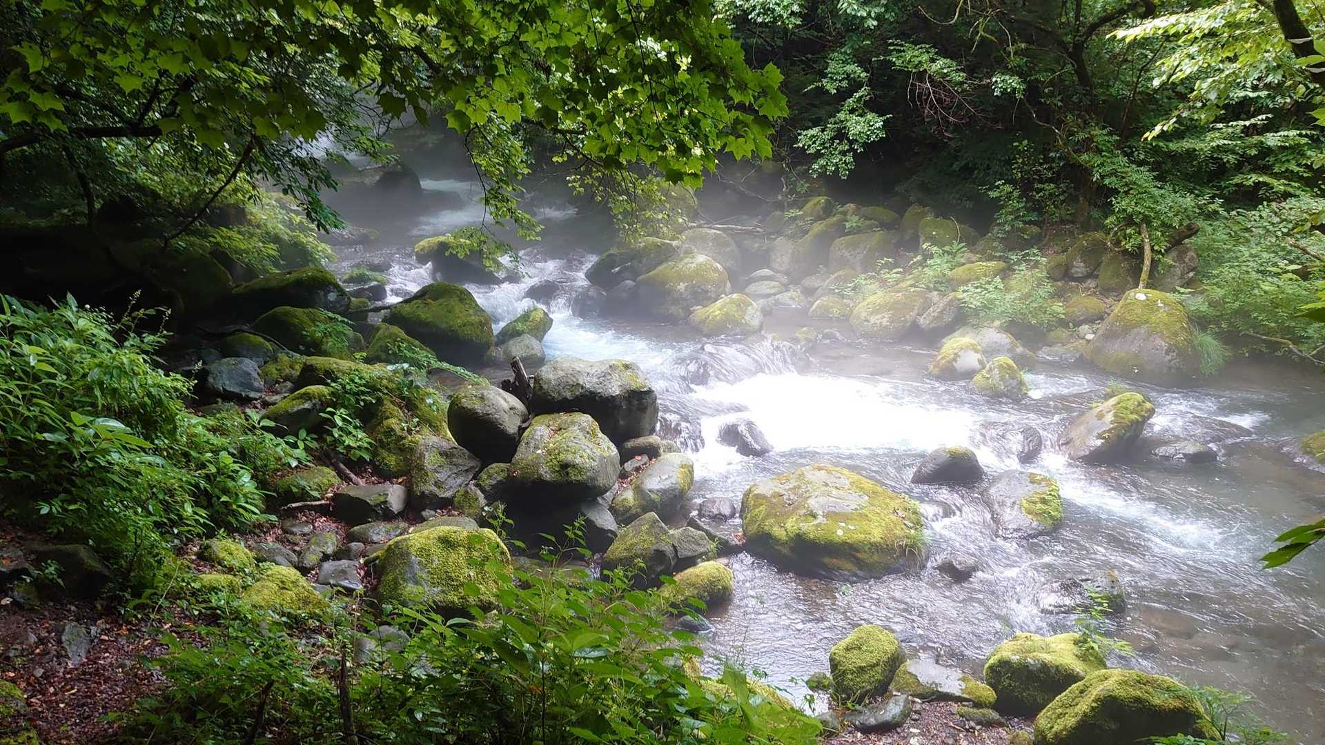 水がメチャクチャ冷たい11℃前後らしく気持ちいい