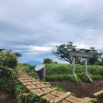 前回よりずいぶん良い🤣