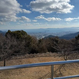 多分桜が植えてあるので、春は桜と海で絶景なんだろうと思う🌸🌊