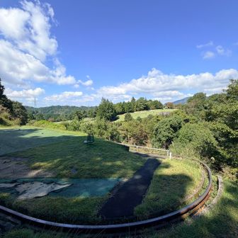 ⛳️