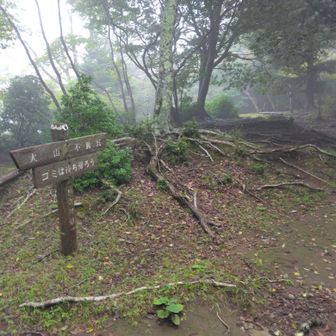 唐沢峠