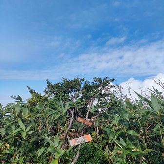　　北岳　🤗北岳に来ただけ

　🈁で眠気覚ましに
　レッド・ブルー飲み干す
　💪🏻パワー🆙