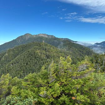 独標にて
仙丈ヶ岳までの道がはっきりとわかる
まだあるなぁ