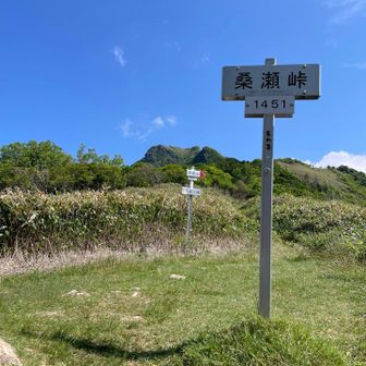 予習したとこ…右か左かココで見てから決める事にしてた。どっちに登るんだい！