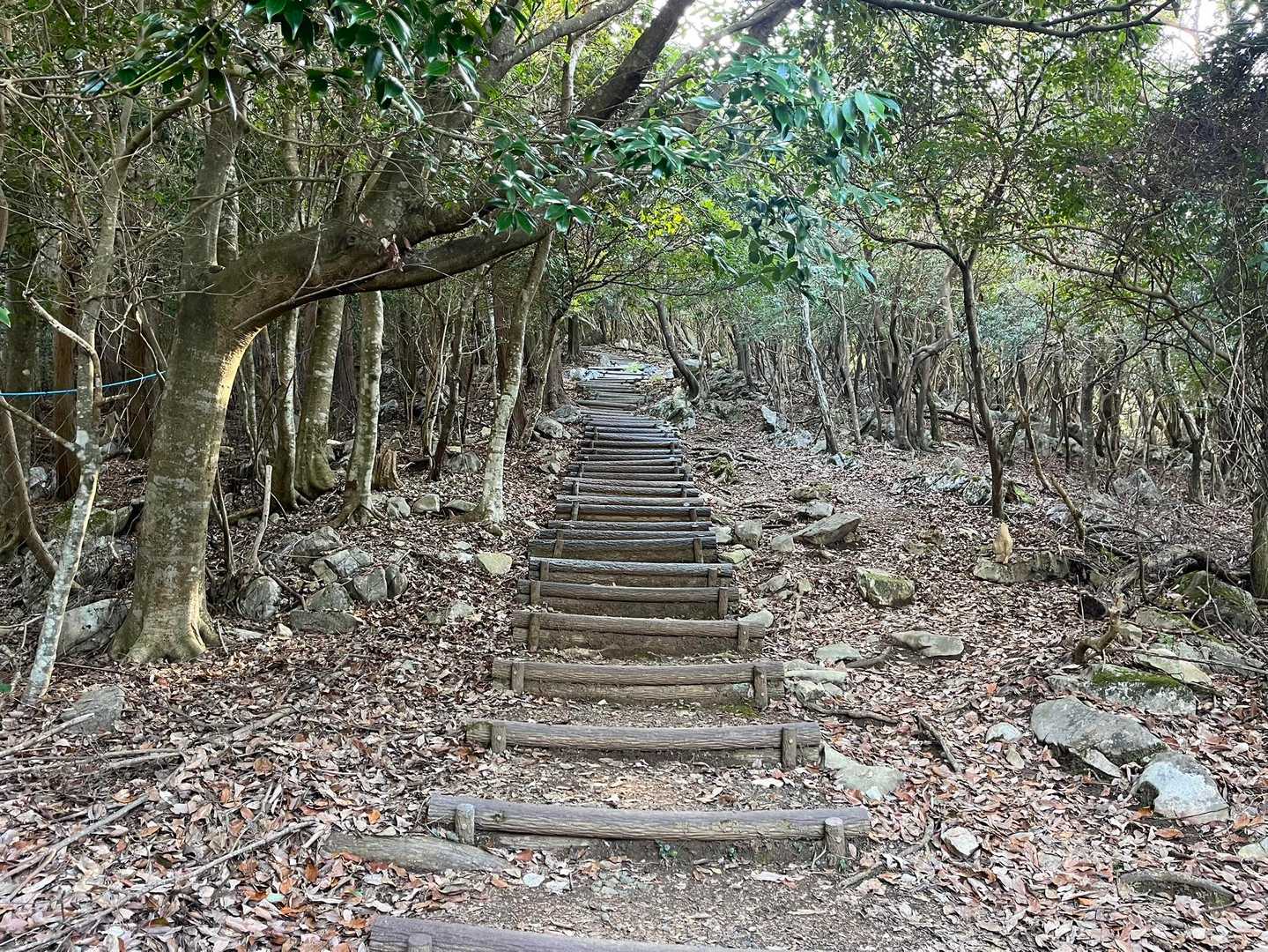 竜峰山 | 八代の3座を縦走、岩場あり天草まで見渡す周回コースの写真