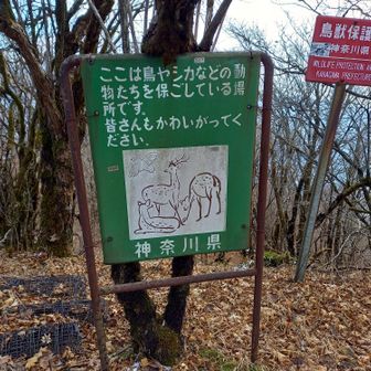 🦌昭和な看板かわいい😊