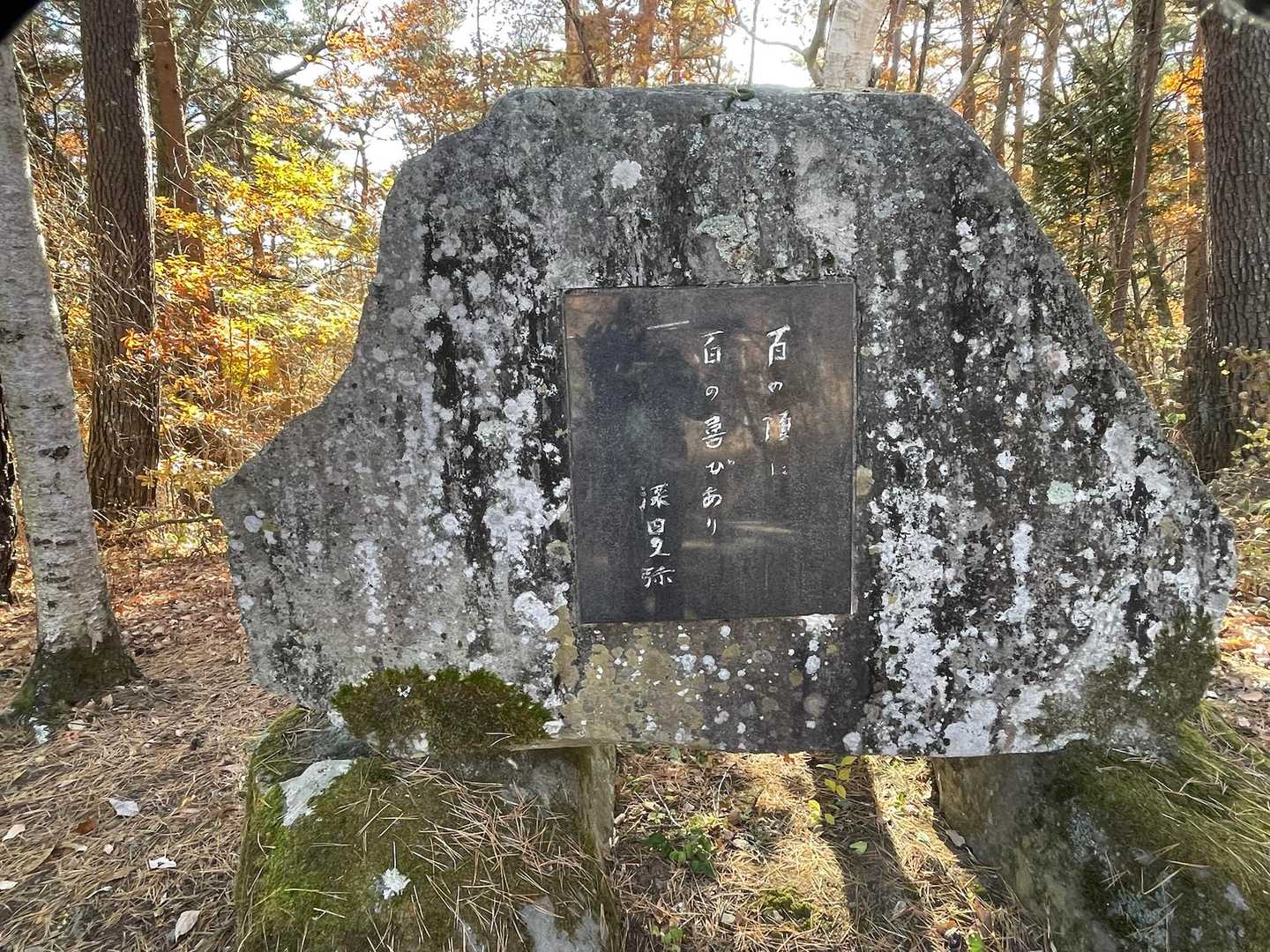 百の頂に、百の喜びあり
深田久弥