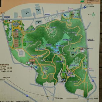 県立座間谷戸山公園やとやまこうえん
北入口から🚶‍♀️